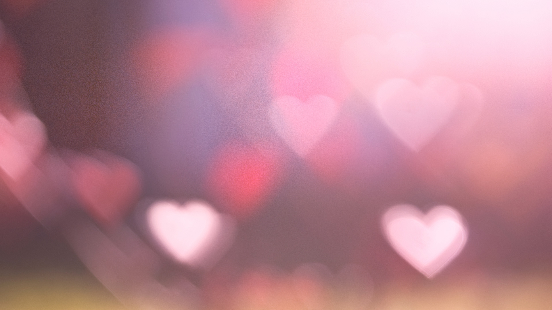 Torrid Love
